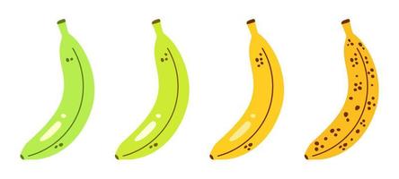 Vektorset mit Bananen. Reifestadien von Bananen von unreif bis überreif. Reifungsprozess von Bananen. grüne und gelbe Bananen im flachen Design. vektor