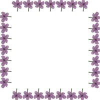quadratischer Rahmen mit lila Blüten auf weißem Hintergrund. Vektorbild. vektor