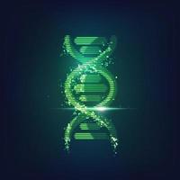 DNA grünes Licht vektor