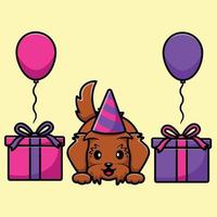 süßer maltipoo-hundegeburtstag mit geschenken und luftballons cartoon-vektor-symbol-illustration. tierisches flaches karikaturkonzept vektor