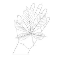 Kastanienblatt im Doodle-Stil auf der Handfläche. Vektorvorratillustration. vektor