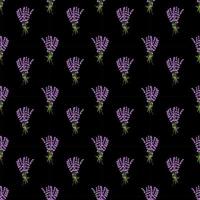 Nahtloses Muster Lavendelblütenmuster auf schwarzem Hintergrund. florales Vektormuster vektor
