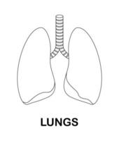 Malvorlage mit Lunge für Kinder vektor