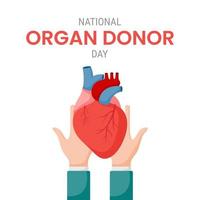 nationaler organspendetag mit menschlichem herzen vektor