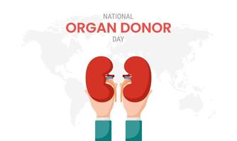 nationella organdonatordagen med njurar vektor