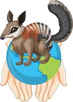 numbat auf dem erdplaneten vektor