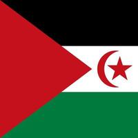 sahrawi arabiska demokratiska republikens flagga, officiella färger. vektor illustration.
