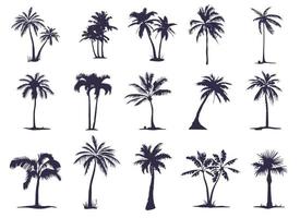 eine große reihe von silhouetten von palmen. Palmensilhouette für Ihre Bedürfnisse und Kunst vektor