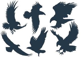 ein Satz fliegender Adler-Silhouetten, 6 Stück. vektor