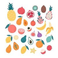 Sammlung exotischer und tropischer Früchte. gesunde Lebensmittel, diätetische Produkte, frische Vitamin-Lebensmittelprodukte vektor