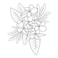 plumeria blomma doodle målarbok kontur vektor illustration av isolerade i vit bakgrund