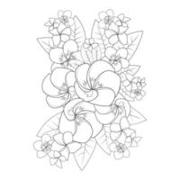 Frangipani-Blume doodle Färbung Seite Umriss Vektor-Illustration von isoliert in weißem Hintergrund vektor