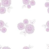 Nahtloses Muster mit einem botanischen Ornament aus lila Astern isoliert auf weißem Hintergrund zum Bedrucken von Textilien, Wohnkultur, Tapeten zum Thema Blüte im Garten vektor