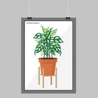 monstera oblique eller adansonii blad på ram. minimalistisk stil. prydnadsträd. mall bakgrund vektor