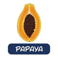 tecknad papaya frukt vektor isolerad på vit bakgrund