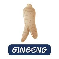 tecknad ginseng grönsaker vektor isolerad på vit bakgrund