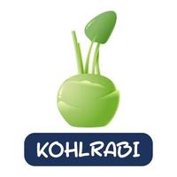 Cartoon-Kohlrabi-Gemüse-Vektor isoliert auf weißem Hintergrund vektor