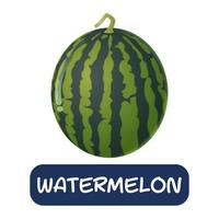 tecknad vattenmelon frukt vektor isolerad på vit bakgrund