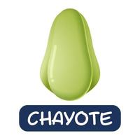 Cartoon-Chayote-Gemüse-Vektor isoliert auf weißem Hintergrund vektor