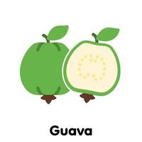 guava frukt ikon, vektor, illustration. vektor