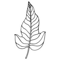 tropischer palmenurlaub im skizzenstil, isolierte vektorillustration. Blätter der Palme im linearen Doodle-Stil. Botanischer minimalistischer Druck aus exotischen Blättern, Skizzendesign. vektor