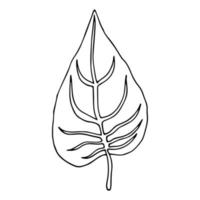 tropischer palmenurlaub im skizzenstil, isolierte vektorillustration. Blätter der Palme im linearen Doodle-Stil. Botanischer minimalistischer Druck aus exotischen Blättern, Skizzendesign. vektor