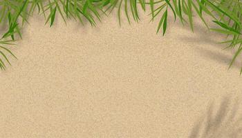 Draufsicht auf Palmblatt mit Schatten auf Sandtexturhintergrund. Vektorgrafik flach lag minimal tropisch mit Kokosnusszweigen Blätter auf brauner Farbe mit Kopierraum für Urlaubssommerkulisse vektor
