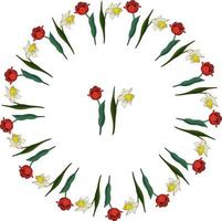 Set mit roten Tulpen und weißen Narzissen auf weißem Hintergrund. runder rahmen und isolierte florale elemente für ihr design