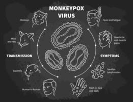 monkeypox infektionssjukdom vektor infographic, medicinskt schema med poxvirus, symtom och överföring. feber och utslag från apor, råttor och ekorrar. krita ikoner i skiss stil på svarta tavlan