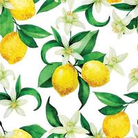 nahtloses aquarellmuster mit zitronen. gelbe Zitronen, Blumen und Blätter auf weißem Hintergrund. Vintage-Druck vektor