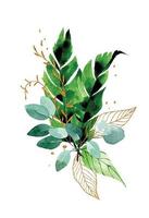 akvarell illustration. bukett, sammansättning av tropiska löv. guld och gröna blad av palm, monstera. regnskogens löv vektor