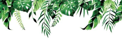 akvarellteckning. sömlös kant, ram, banner med tropiska löv. gröna blad av palm, monstera, bananblad på en vit bakgrund. djungelväxter, regnskog. vektor