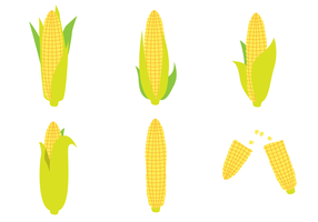 Ear of Corn Vector Set