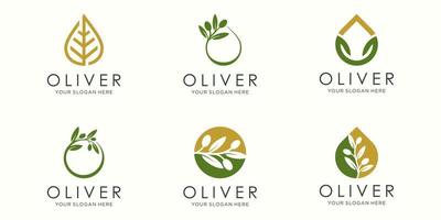 Olivenöl-Logo und Icon-Set. Design-Vorlagenvektor. vektor