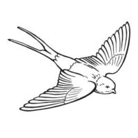 fliegende Schwalbe. handgezeichnete illustration in vektor umgewandelt.