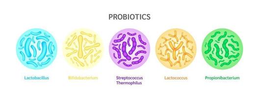 probiotika mjölksyrabakterie i mjölk, yoghurt. märka bifidobacterium, lactobacillus, streptococcus thermophilus, lactococcus, propionibacterium. matsmältning hälsovård koncept. vektor eps10.