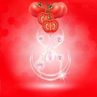 tomat vitt kroppsserum, extrakt kollagen och vitamin. tomat hudvårdskräm. vektor eps10.