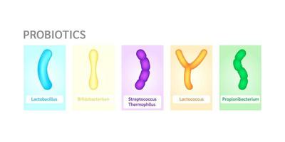 Probiotika Milchsäurebakterien in Milch, Joghurt. Label Bifidobacterium, Lactobacillus, Streptococcus thermophilus, Lactococcus, Propionibacterium. verdauungsgesundheitskonzept. Vektor eps10.