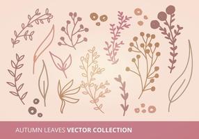 Höstlöv Vector Collection