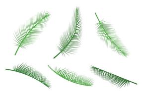Palmbladvektorer vektor
