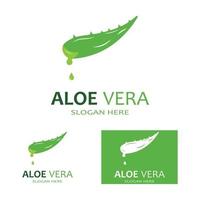 aloe vera logo vektorillustrationsvorlage vektor