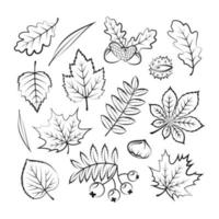uppsättning höstens kontur löv och växter vektor