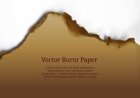 Bränd papperskantsvektor vektor