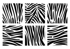 Zebra print bakgrundsvektorer