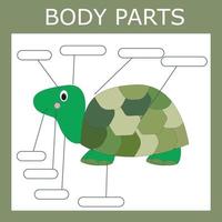 Schreibe die Körperteile der Schildkröte auf. Lernspiel für Kinder. vektor