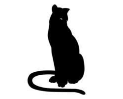 Panther schwarz auf weißem Hintergrund vektor