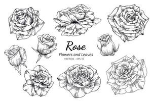 Satz handgezeichnete Rosen