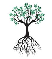 grüner Frühlingsbaum mit Wurzeln. Vektor-Illustration. vektor
