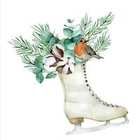 Aquarellzeichnung. weihnachtskomposition mit wintervogel, vintage-schlittschuhen, baumwollblumen, eukalyptusblättern, tannenzweigen und kegeln. vektor