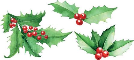 aquarellset, sammlung von weihnachtsstechpalmenblättern. grüne blätter und rote stechpalmenbeeren lokalisiert auf weißem hintergrund, weihnachtscliparts. Winterdekoration für Postkarten, Geschenkpapier